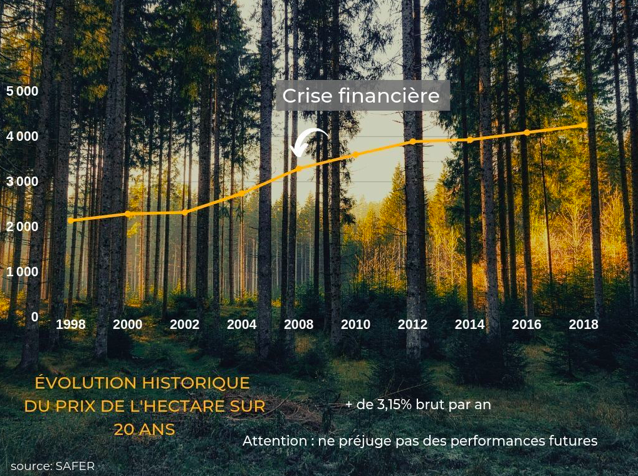 Évolution du prix de l'hectare de forêt sur 20 ans, en constante augmentation 